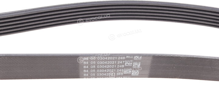 Continental 6PK1370
