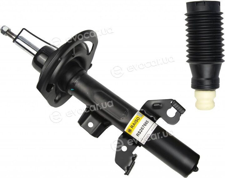 Raiso RS267665