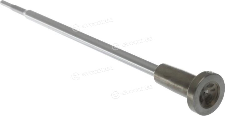 Bosch F 00V C01 318