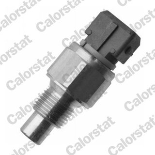 Vernet / Calorstat WS3105