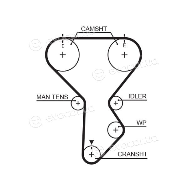 Gates K015287XS