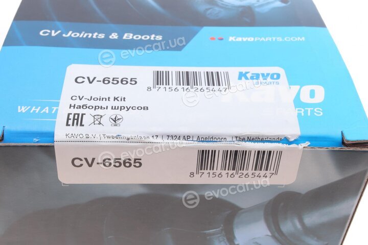 Kavo CV-6565