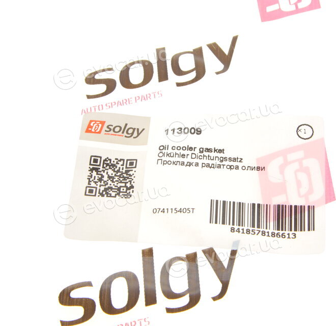 Solgy 113009