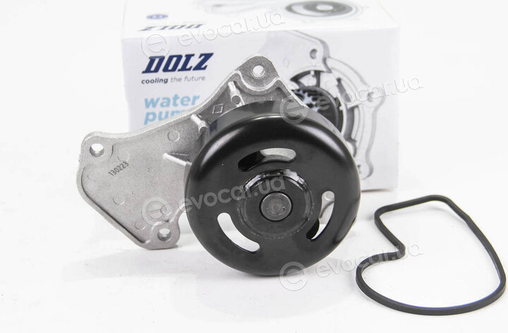 Dolz N163
