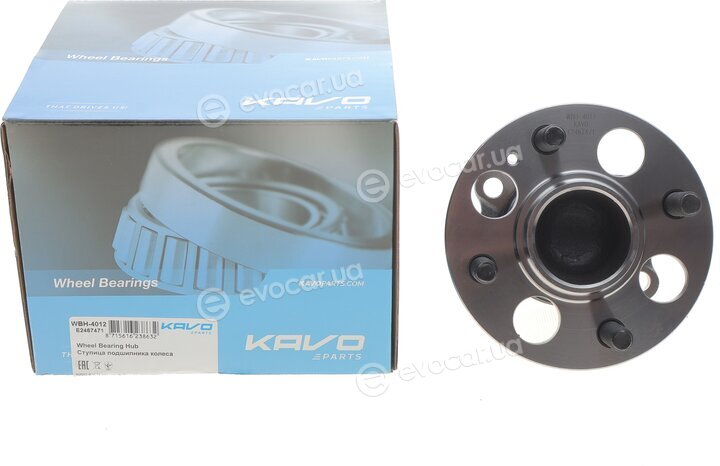 Kavo WBH-4012
