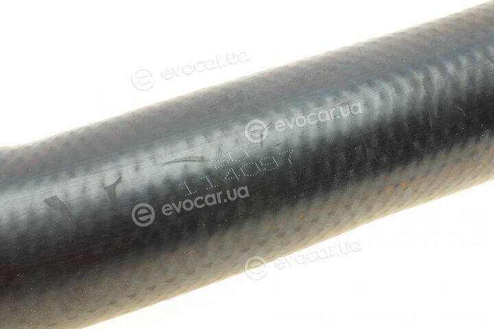 Solgy 114097