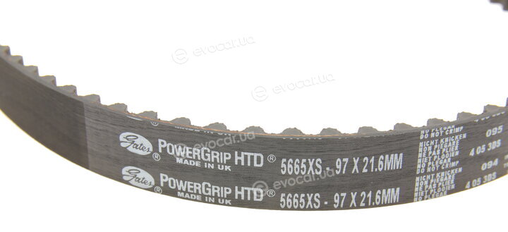 Gates K015665XS