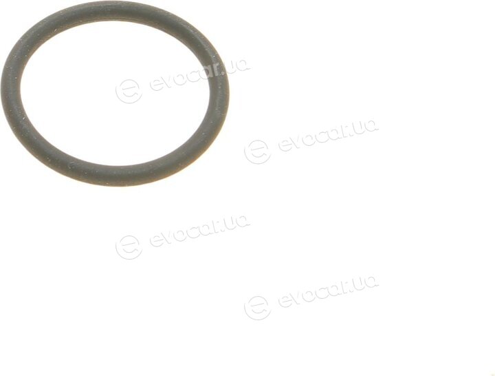 Elring 655.460