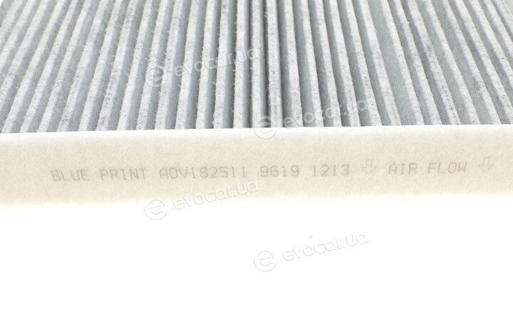 Blue Print ADV182511