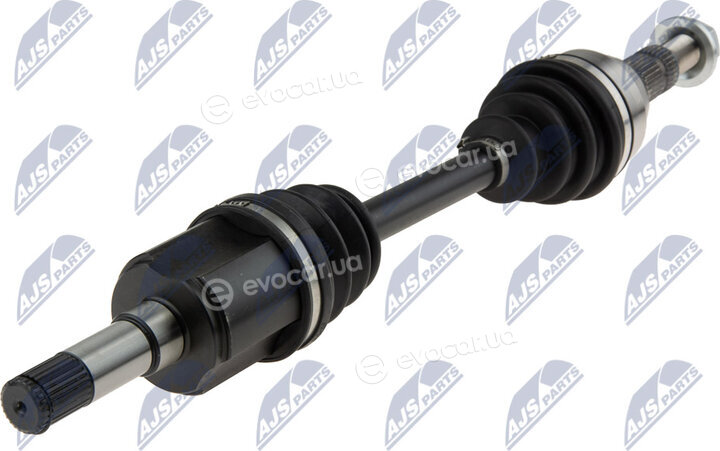 NTY NPW-PL-033