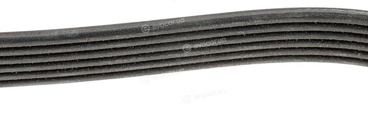 Dayco 6PK1435