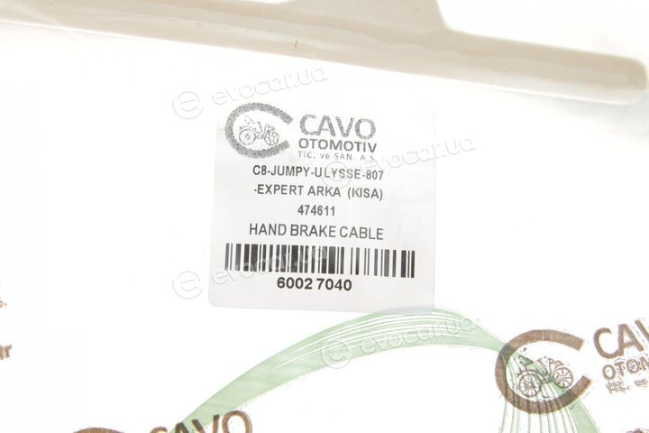 Cavo 6002 704