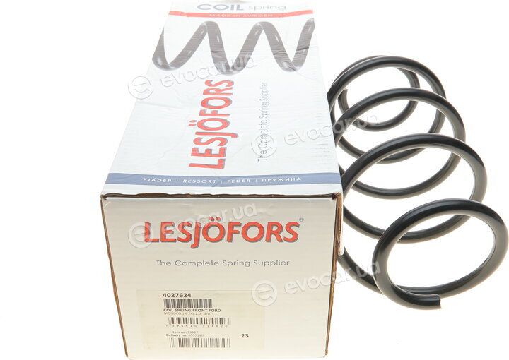 Lesjofors 4027624