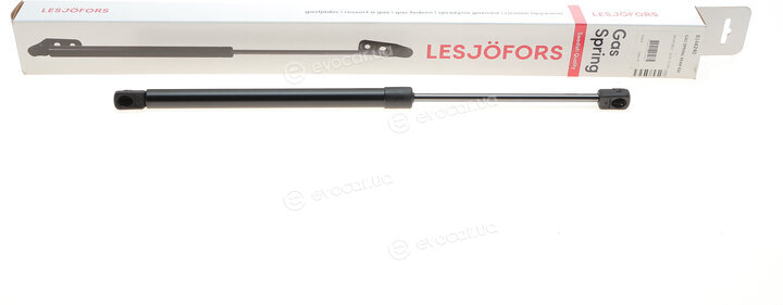 Lesjofors 8144240