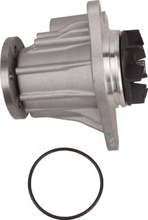 Bapmic TOPT2305006
