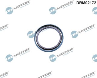 Dr. Motor DRM02172