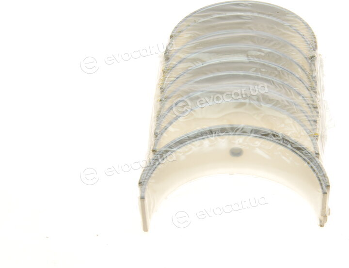 King MB5589AM0.25