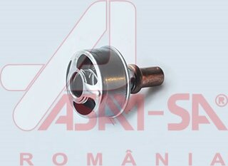 Asam 32677