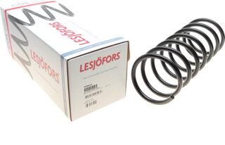 Lesjofors 4008413