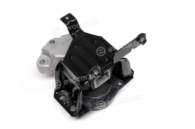 Sasic 2700036