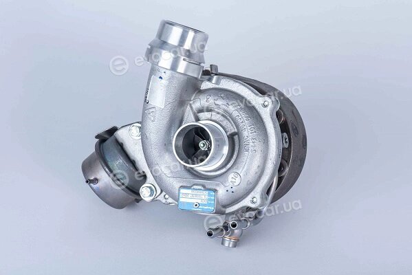 BorgWarner 54399980080