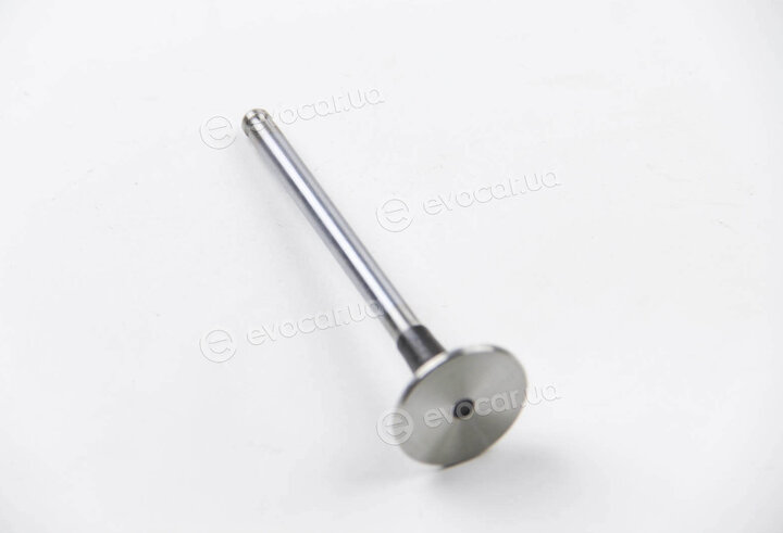 BGA V017063