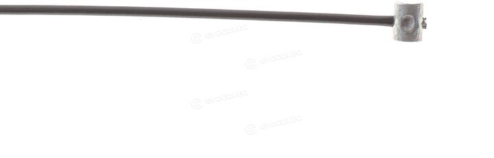 Solgy 219037