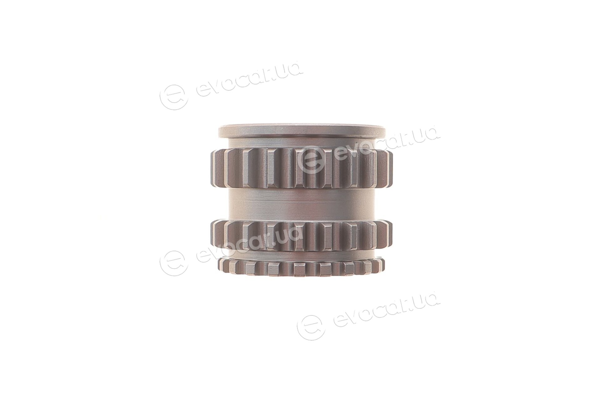 Motive TCK304