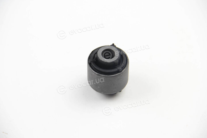 BC Guma 0251