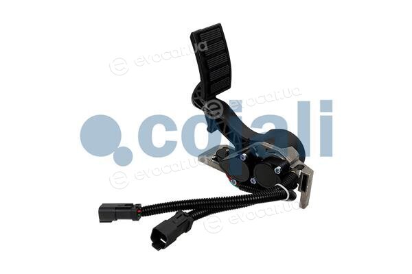 Cojali 2260506