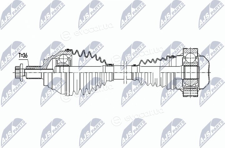 NTY NPW-VW-063