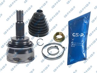 GSP 859496