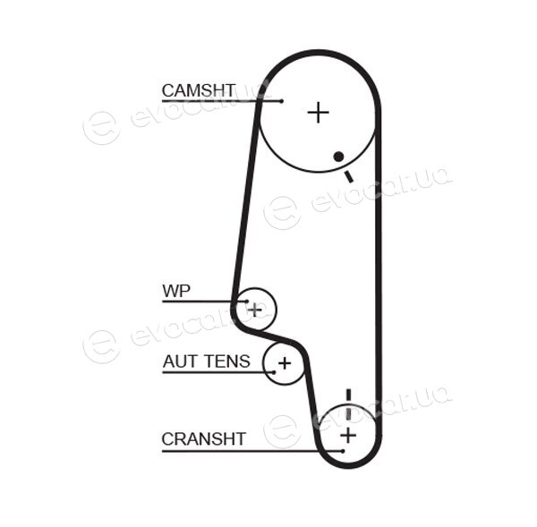 Gates K015427XS