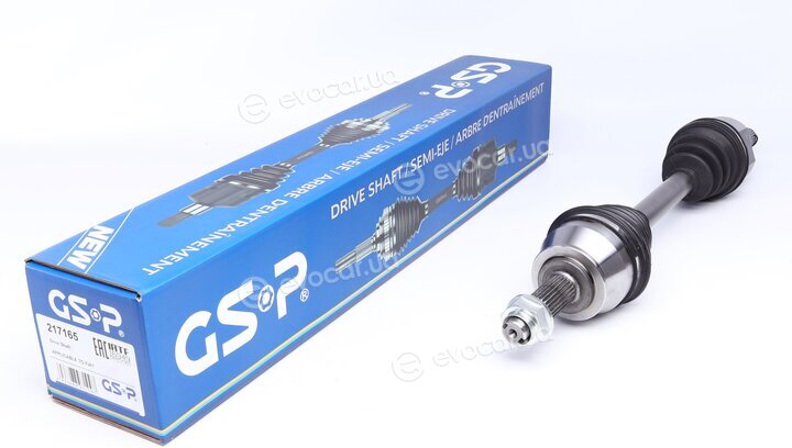 GSP 217165
