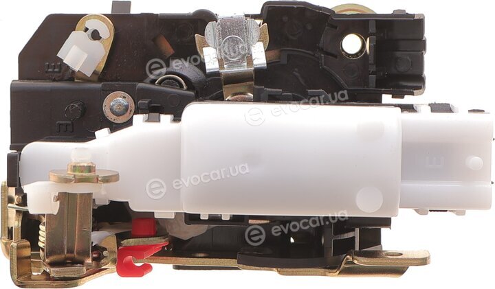 Solgy 305036