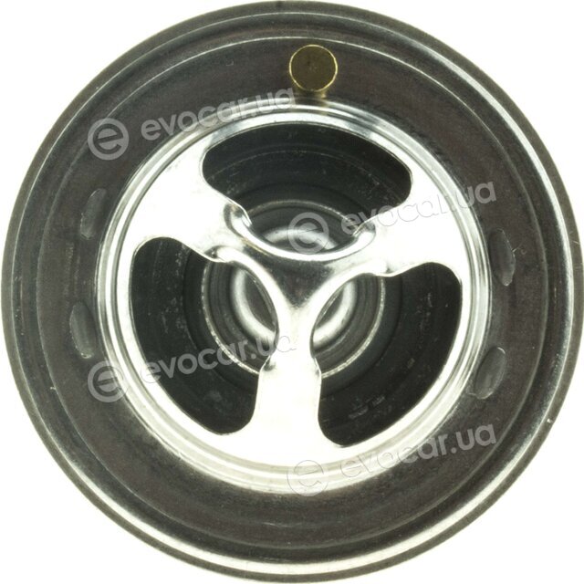 Motorad 281-82K