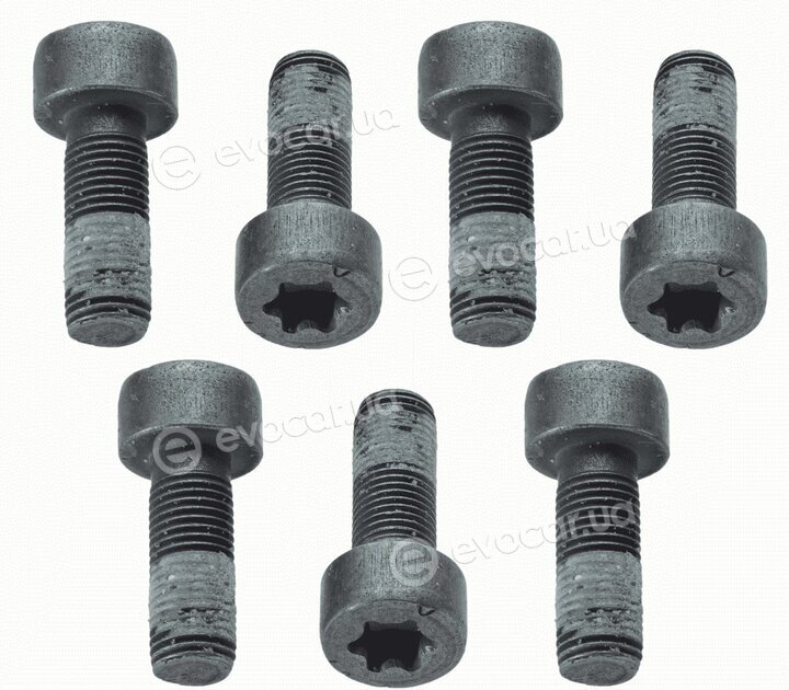 Sachs 1874 000 040