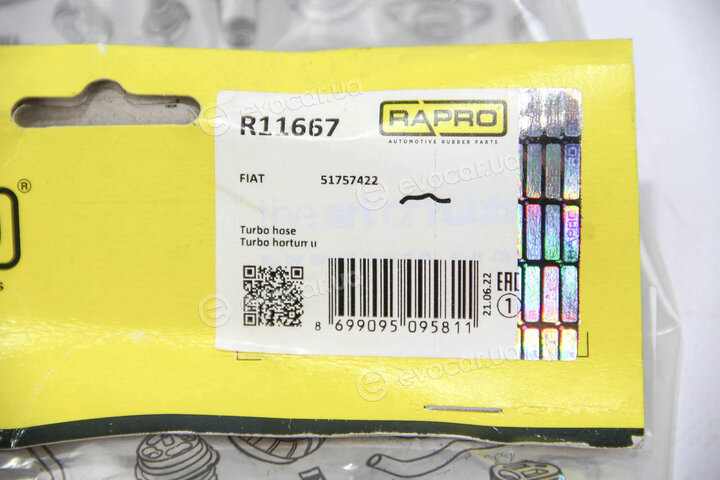 Rapro R11667