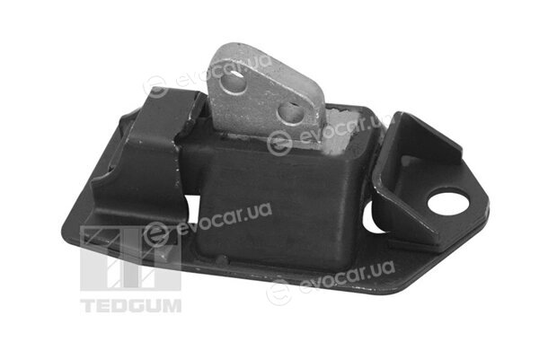 Tedgum 00748055