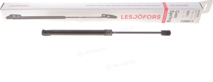 Lesjofors 8158704