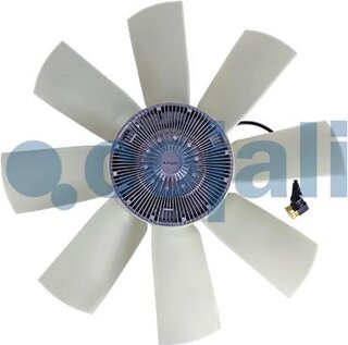 Cojali 7025410