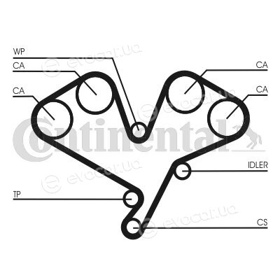 Continental CT1113