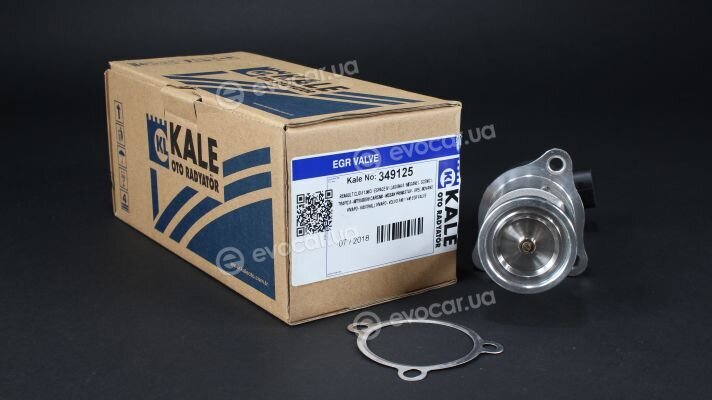 Kale 349125