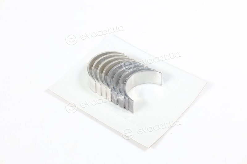 Glyco 71-4082/4 STD