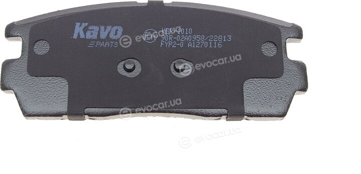 Kavo KBP-1010