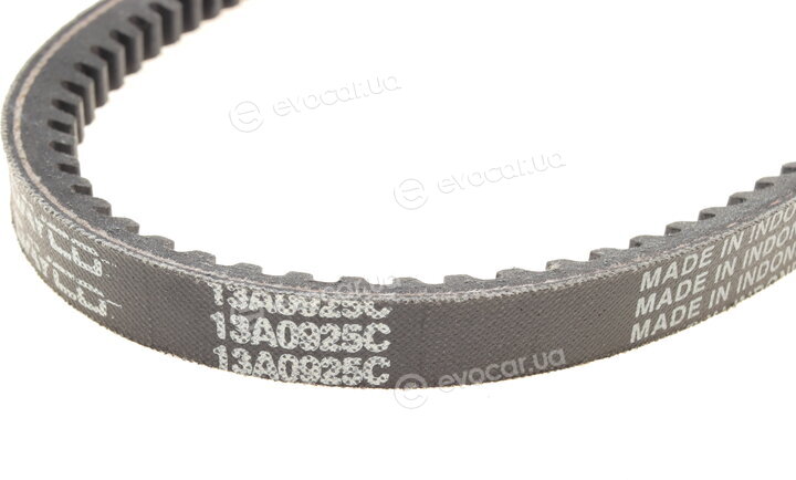 Dayco 13A0925C