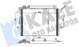 Kale 381600