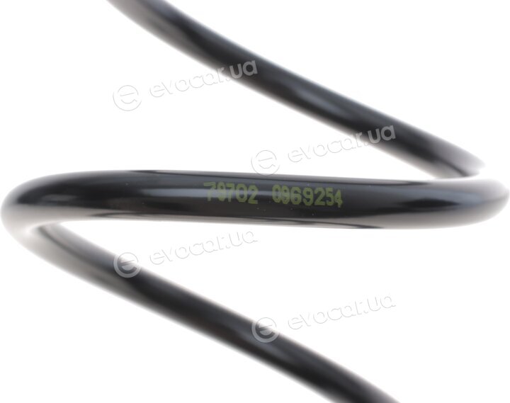 Lesjofors 4017005