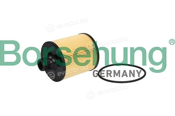 Borsehung B13074
