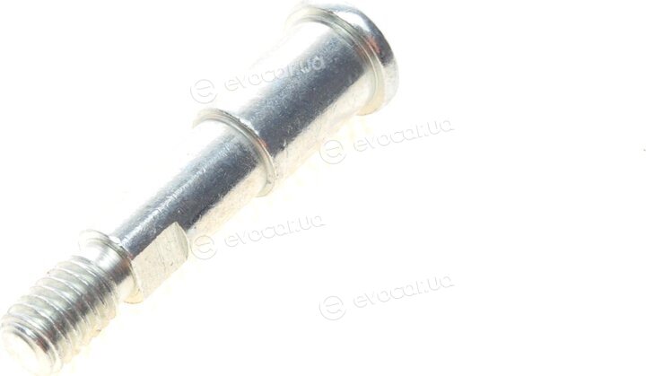 AIC 55888